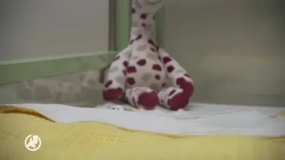 Allereerste ‘KroelCARE’ voor baby’s in Ikazia Ziekenhuis