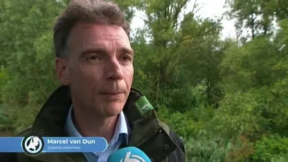 Discussie over situatie paarden in Oostvaardersplassen laait hoog op