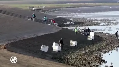 Leger naar Waddeneilanden om te helpen met opruimen strand