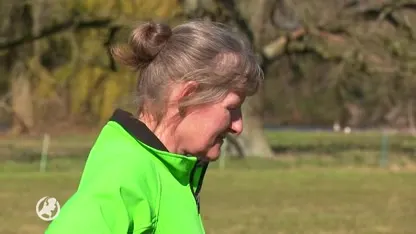 Schapen van Marianne prooi van illegale slachters