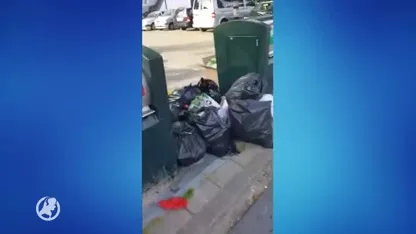 Rattenplaag teistert Haagse wijk: 'Gemeente doet niks'