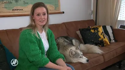 Hond Iza heeft als eerste hond in Europa een 3D-geprint schedeldak