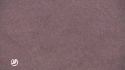 Bekir E. krijgt 14 jaar cel en tbs voor doodslag op Hümeyra