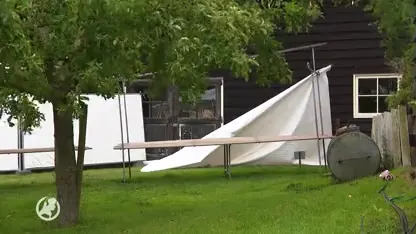 Meerdere evenementen afgelast om harde wind