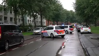 Noodweer raast over Nederland: vrouw uit Zwolle overleden door omgewaaide boos