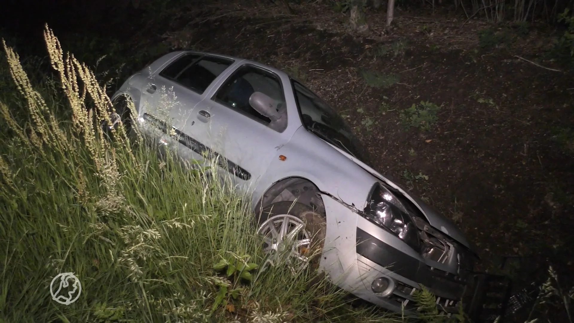 Ree doodgereden op N381 bij Witteveen, automobiliste belandt ...