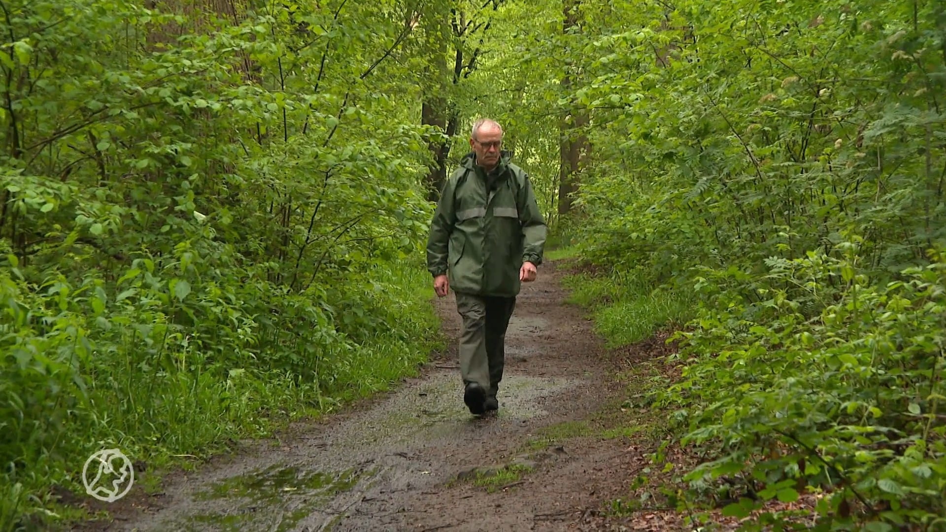 Nat voorjaar blijkt zegen voor de natuur