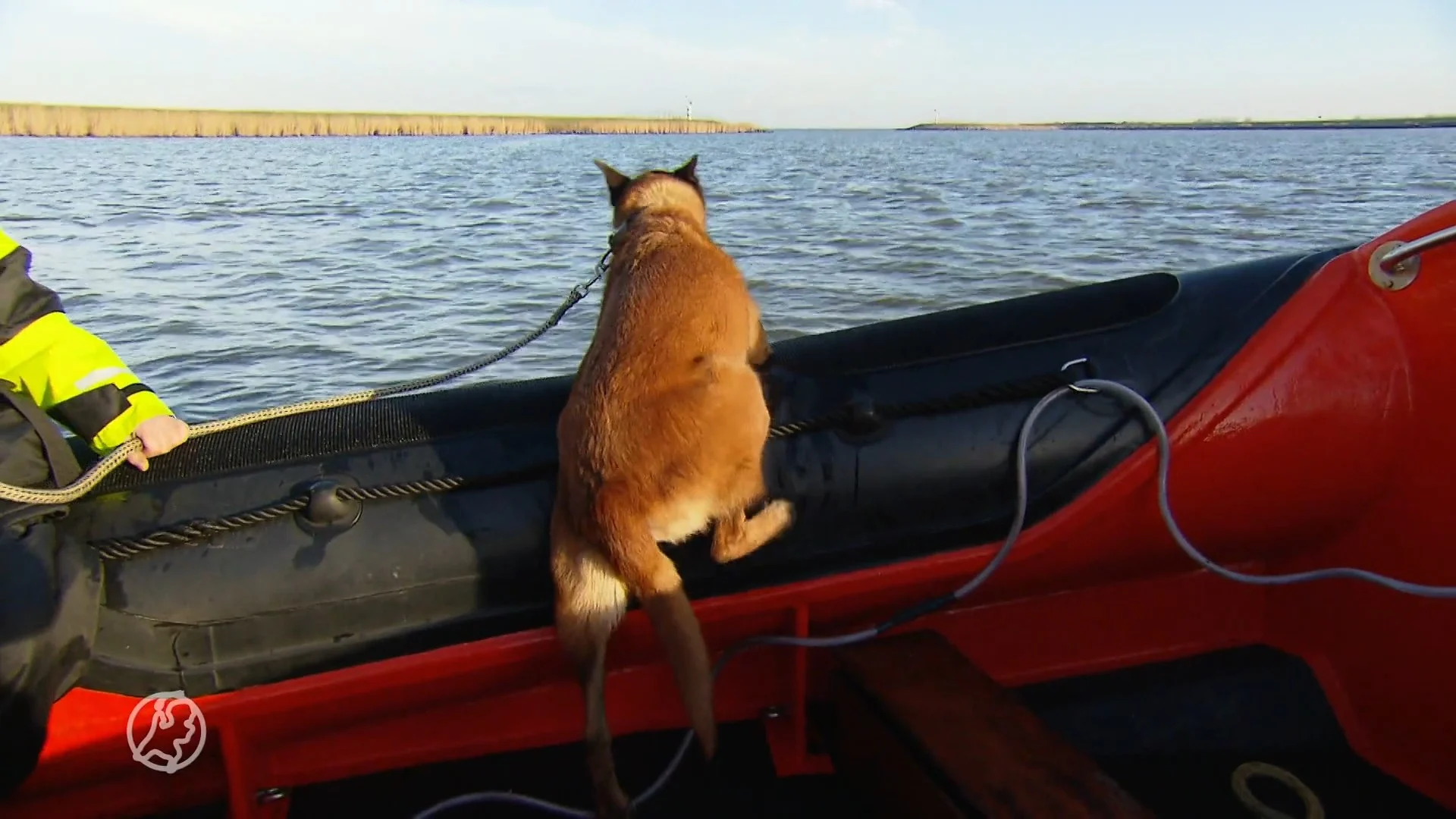 'Zonder Peter R. de Vries had Signi niet meer bestaan'