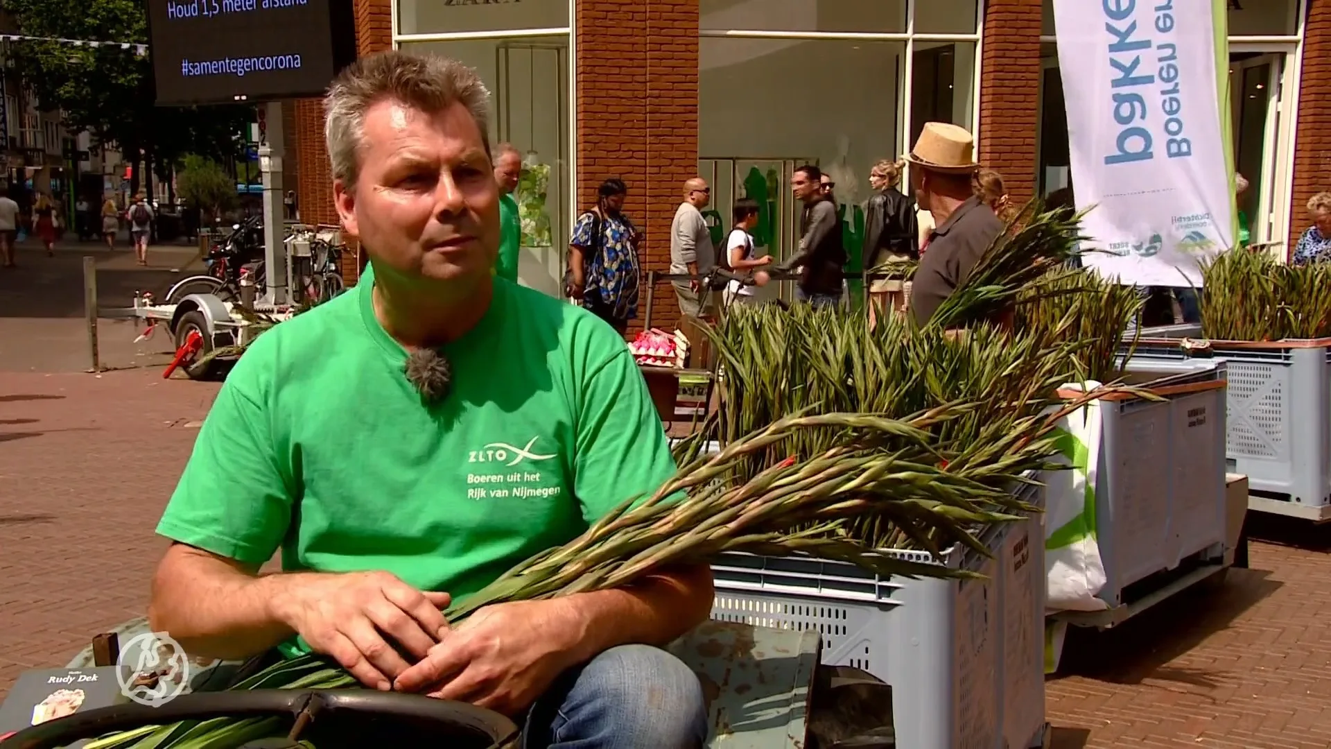 Boeren verkopen 'Vierdaagse gladiolen' voor het goede doel