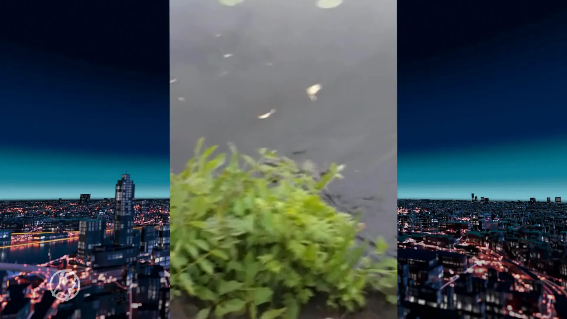 Nieuwleusen speurt met man en macht naar vermist otterweesje