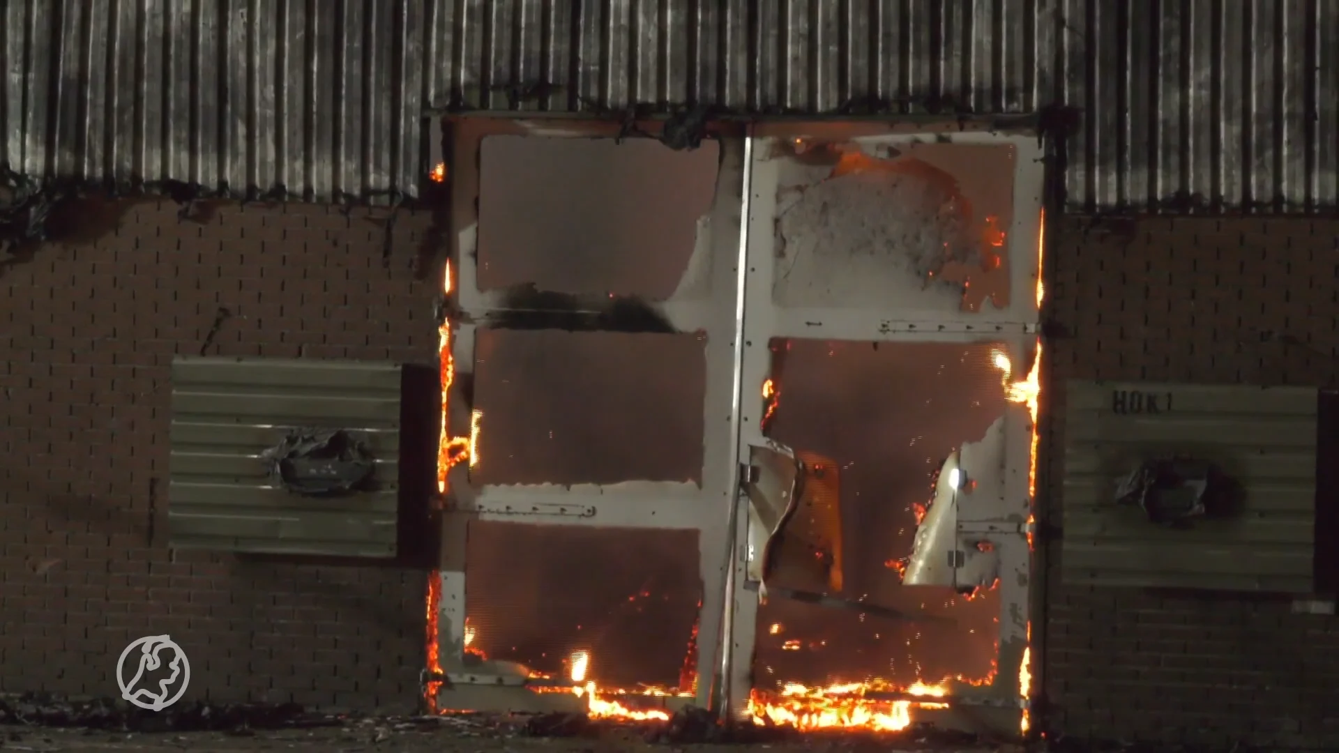 Meer dan 10.000 kippen omgekomen bij brand in Dronten