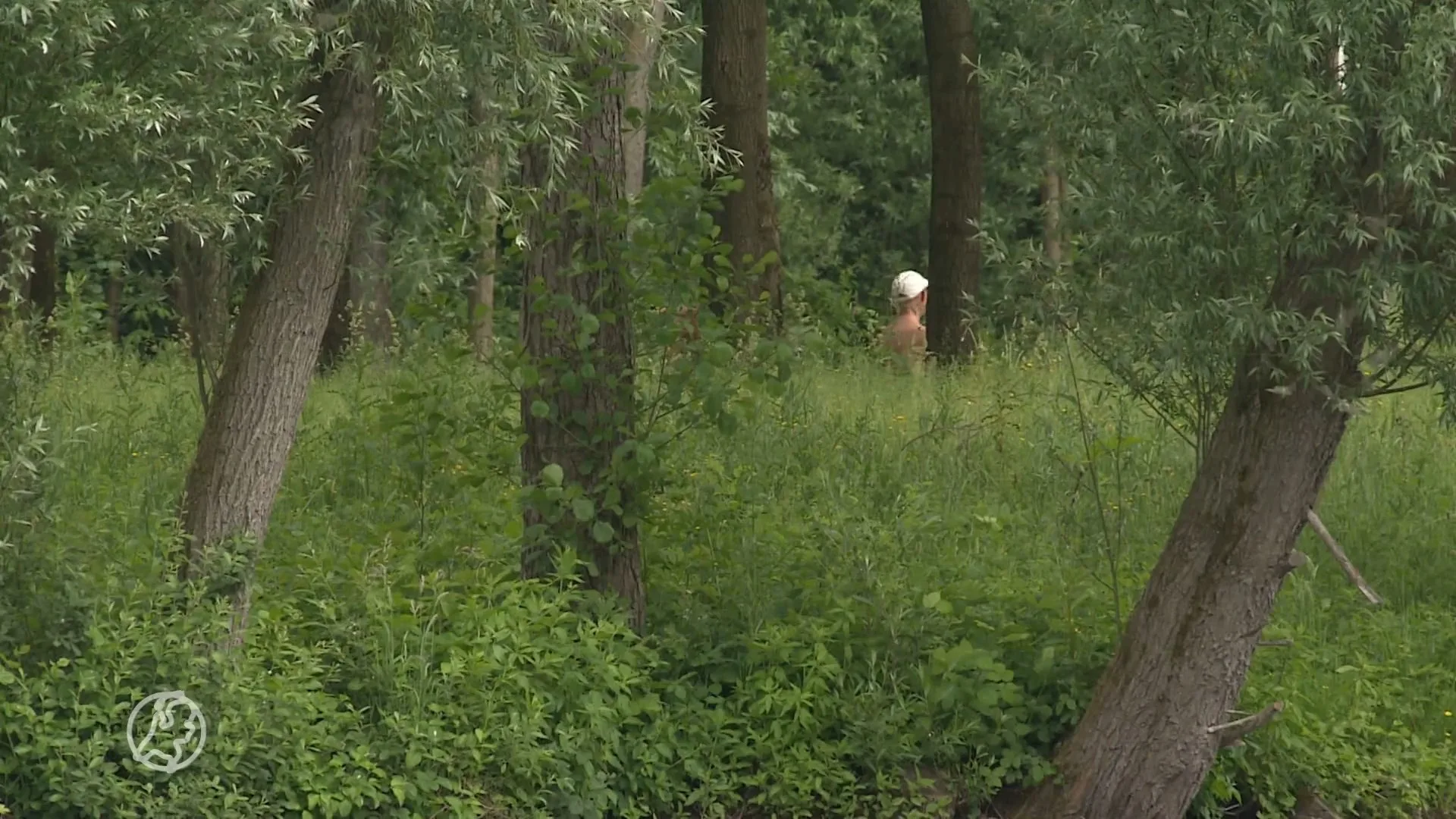 Seksende mannen zetten boel op stelten bij Recreatiegebied Be...