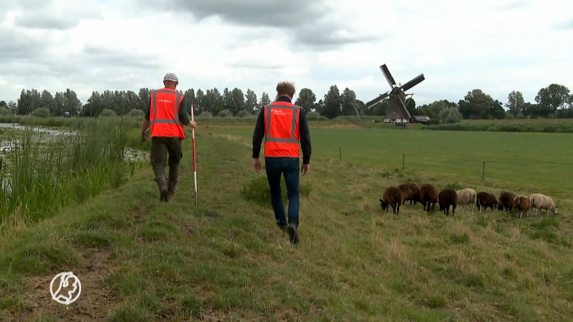 Waterschappen voeren extra dijkinspecties uit vanwege extreme droogte: 'Dan dondert die hele kering in elkaar'