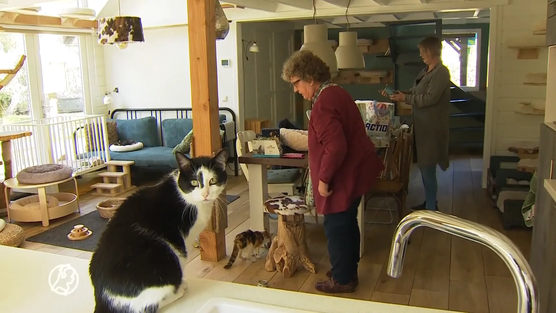 'Een op de drie Nederlanders heeft moeite met kosten van huisdier'