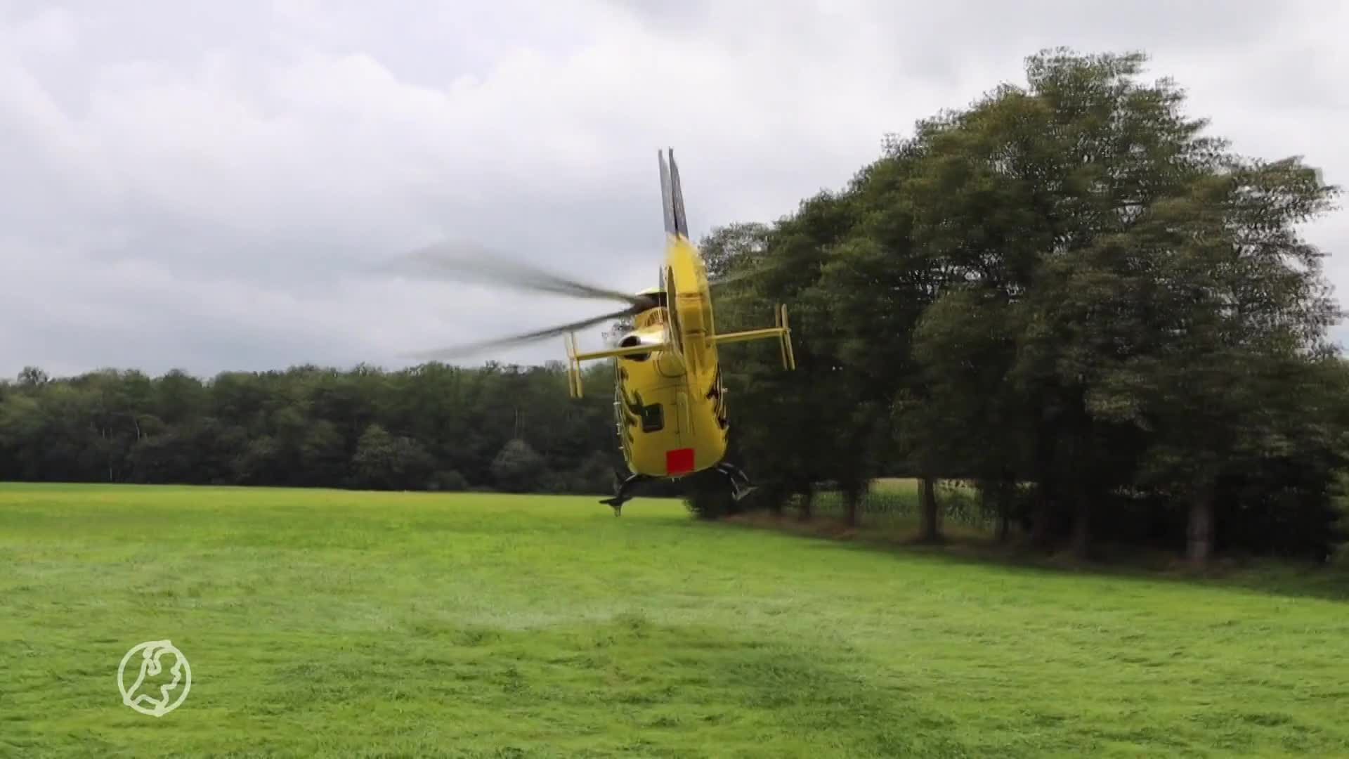 Hond blijft na ernstig auto-ongeluk trouw op baasje liggen