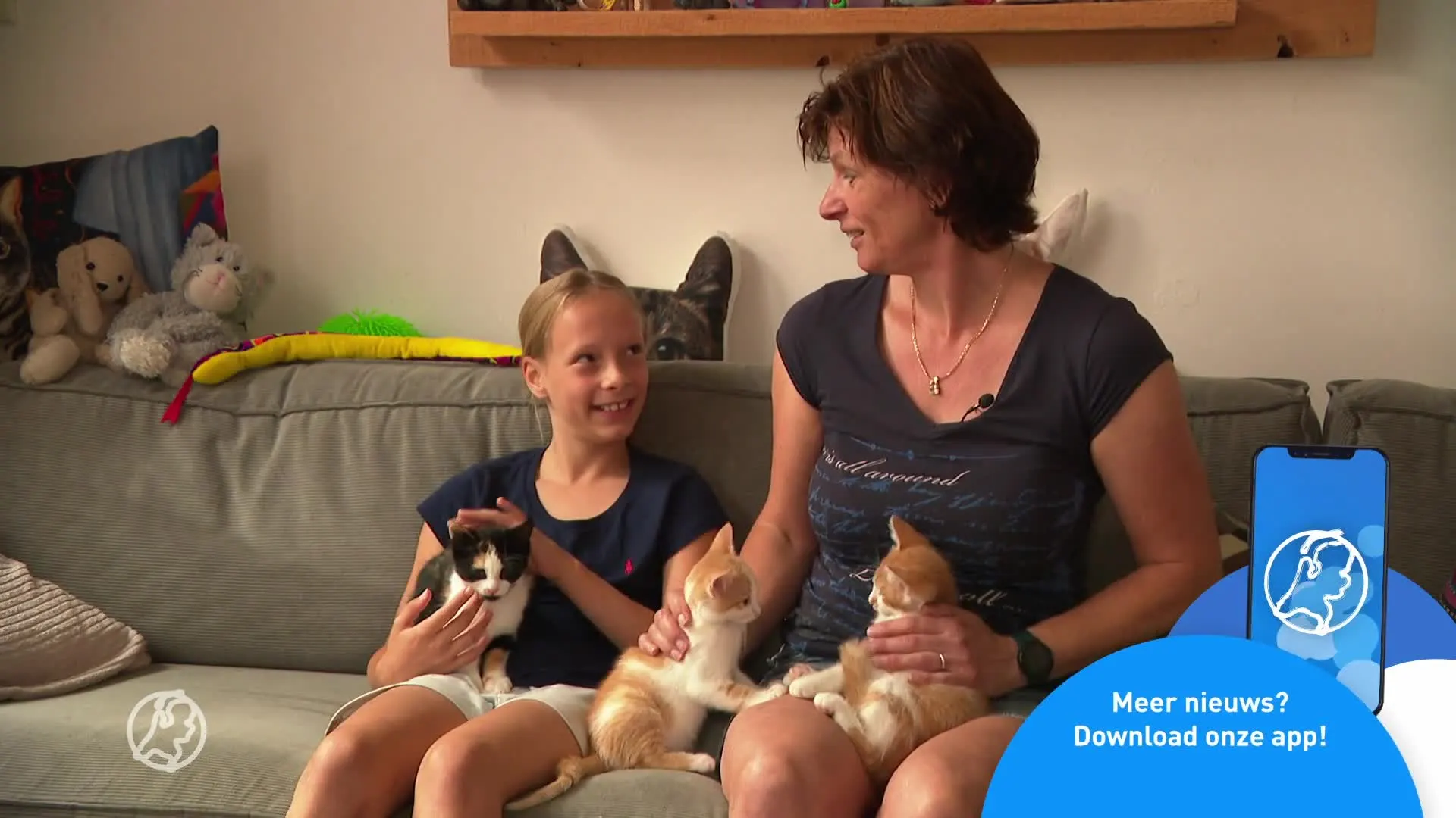 Kittens worden massaal gedumpt, asielen en opvangcentra puilen uit