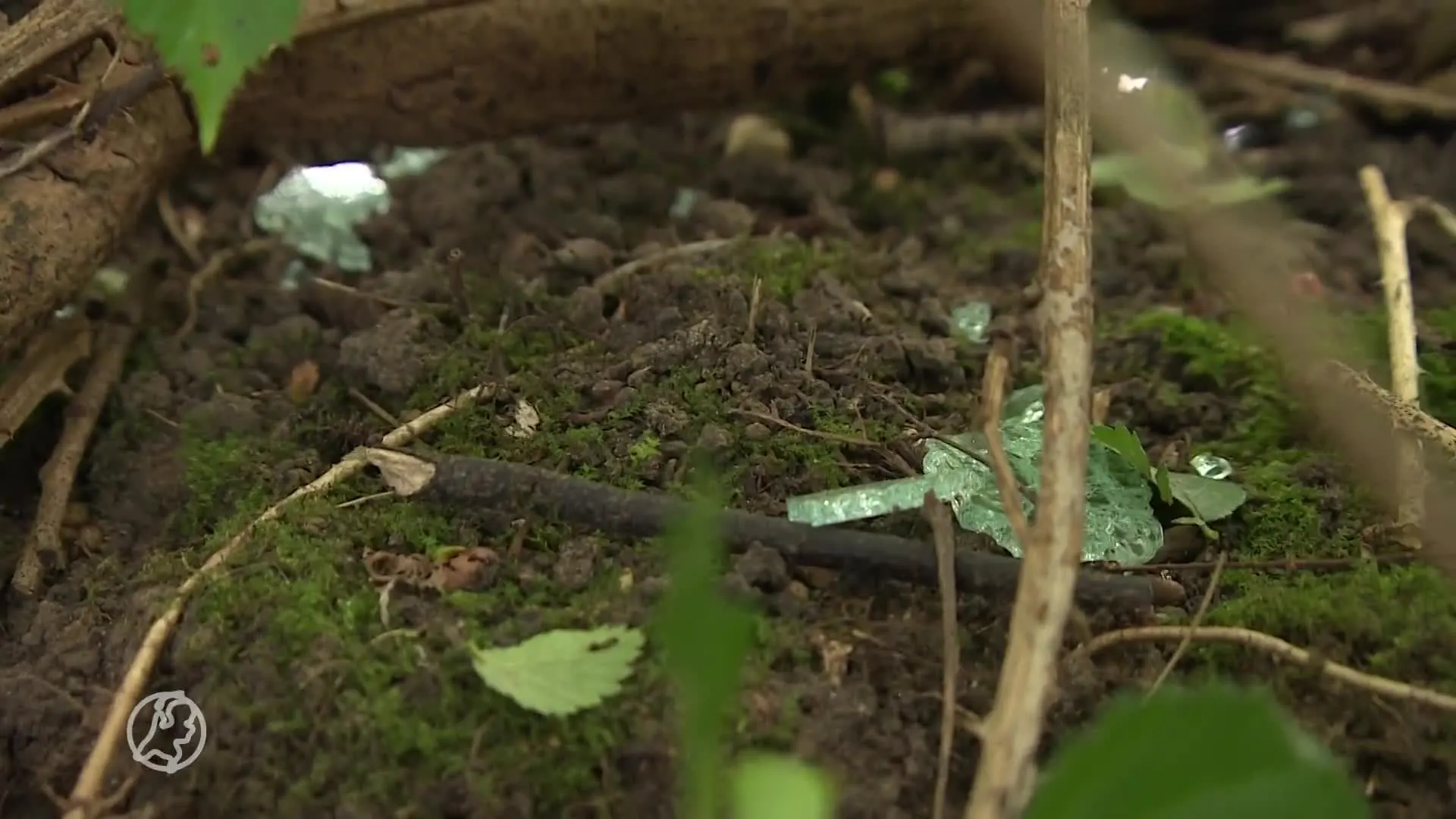 Jonge vrouw (22) die crash bij Wehl overleefde is geopereerd en 'stabiel'