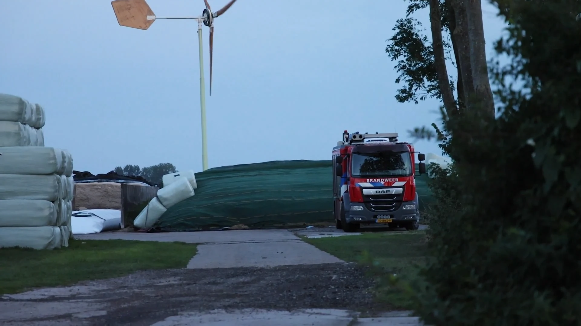 Koeien sterven op mysterieuze wijze in Groningse Adorp