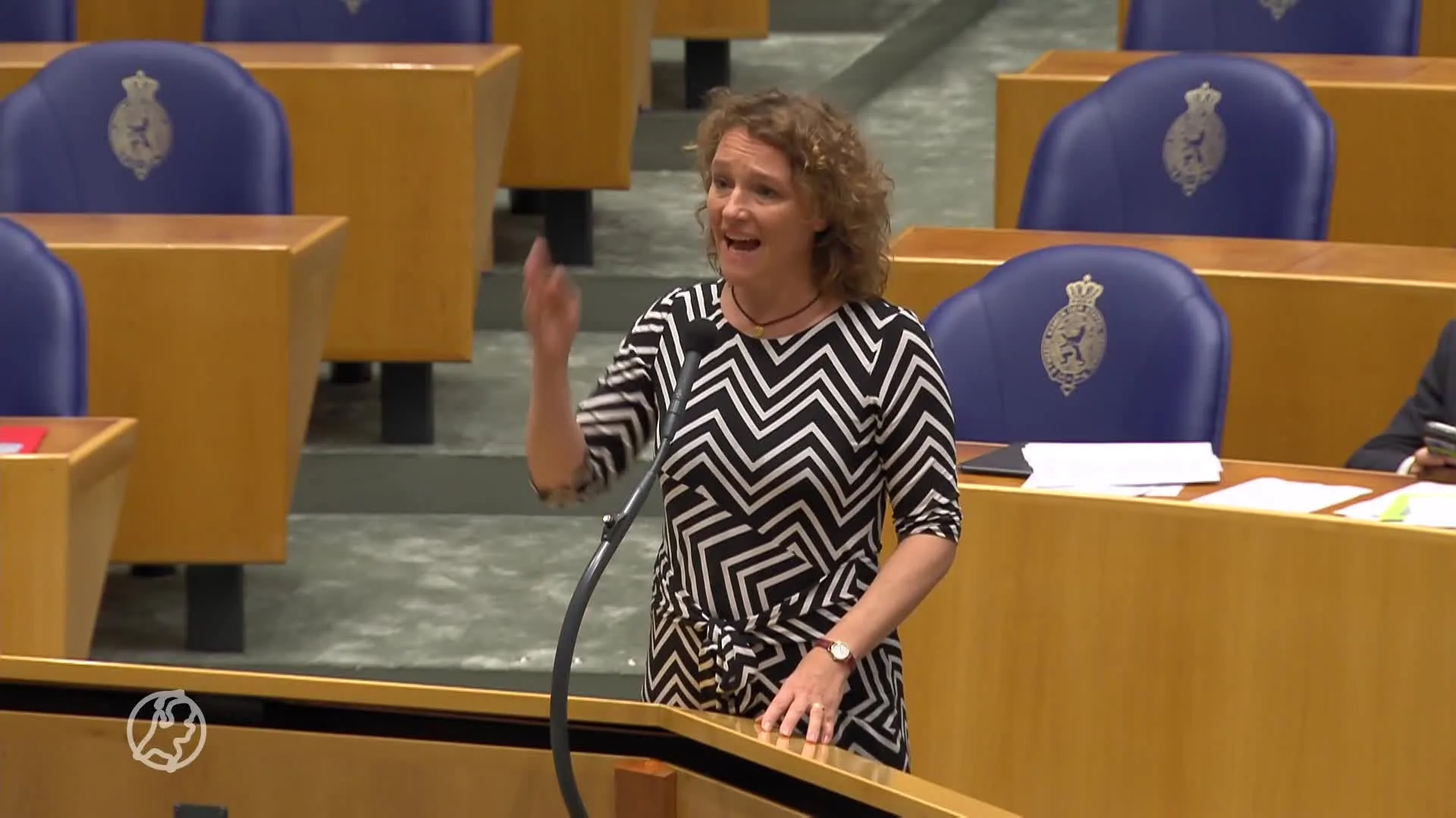 Racismerel in de Tweede Kamer: Leijten (SP) botst met Simons (BIJ1)