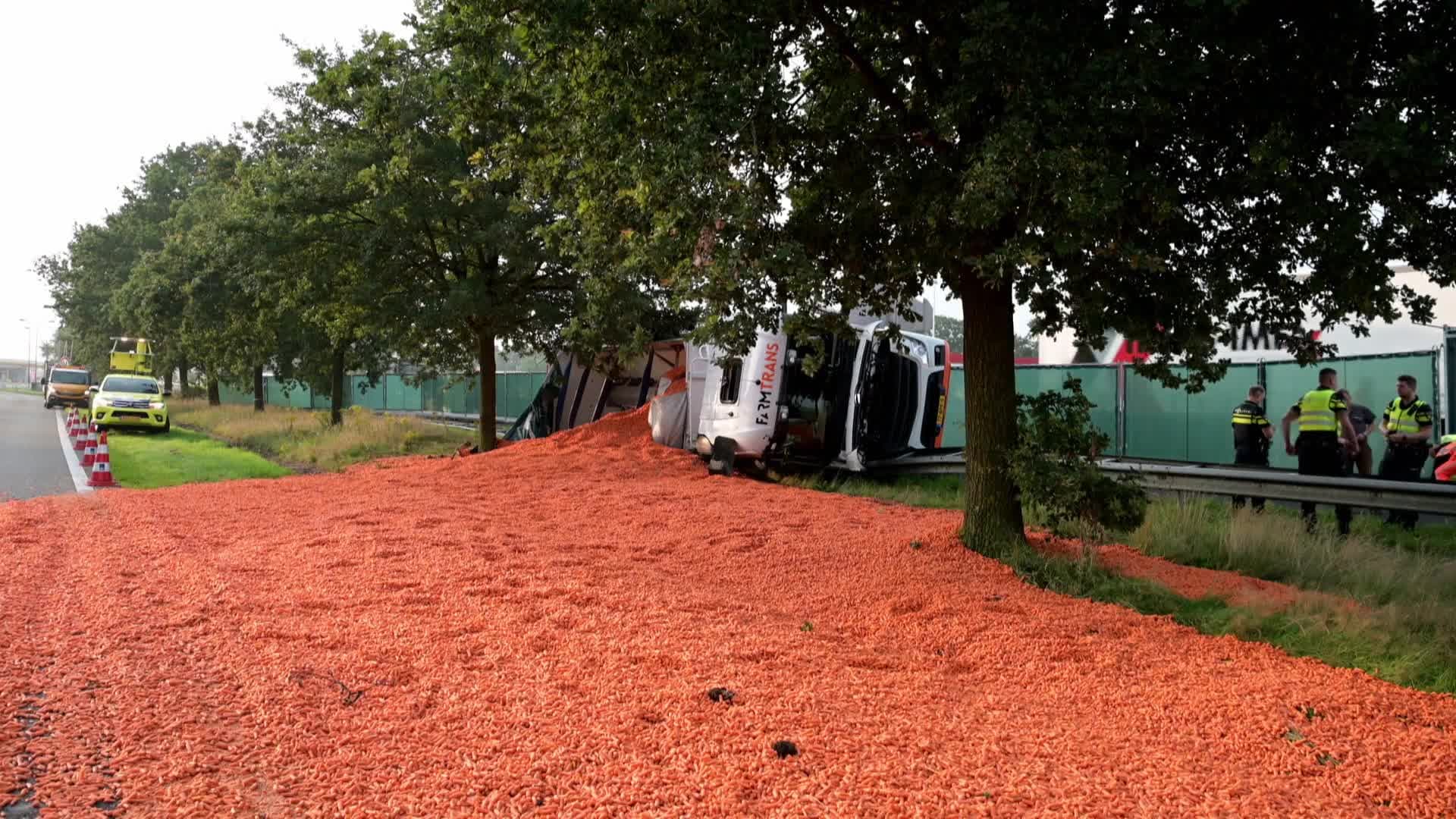 Wegdek A58 bezaaid met wortels vanwege gekantelde vrachtwagen