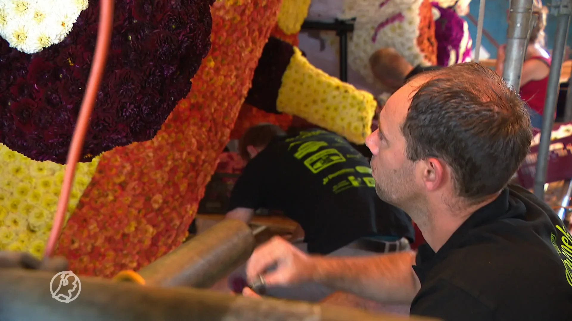 Belt-Schutsloot bijna klaar voor legendarische Gondelvaart: na twee jaar kan het eindelijk weer