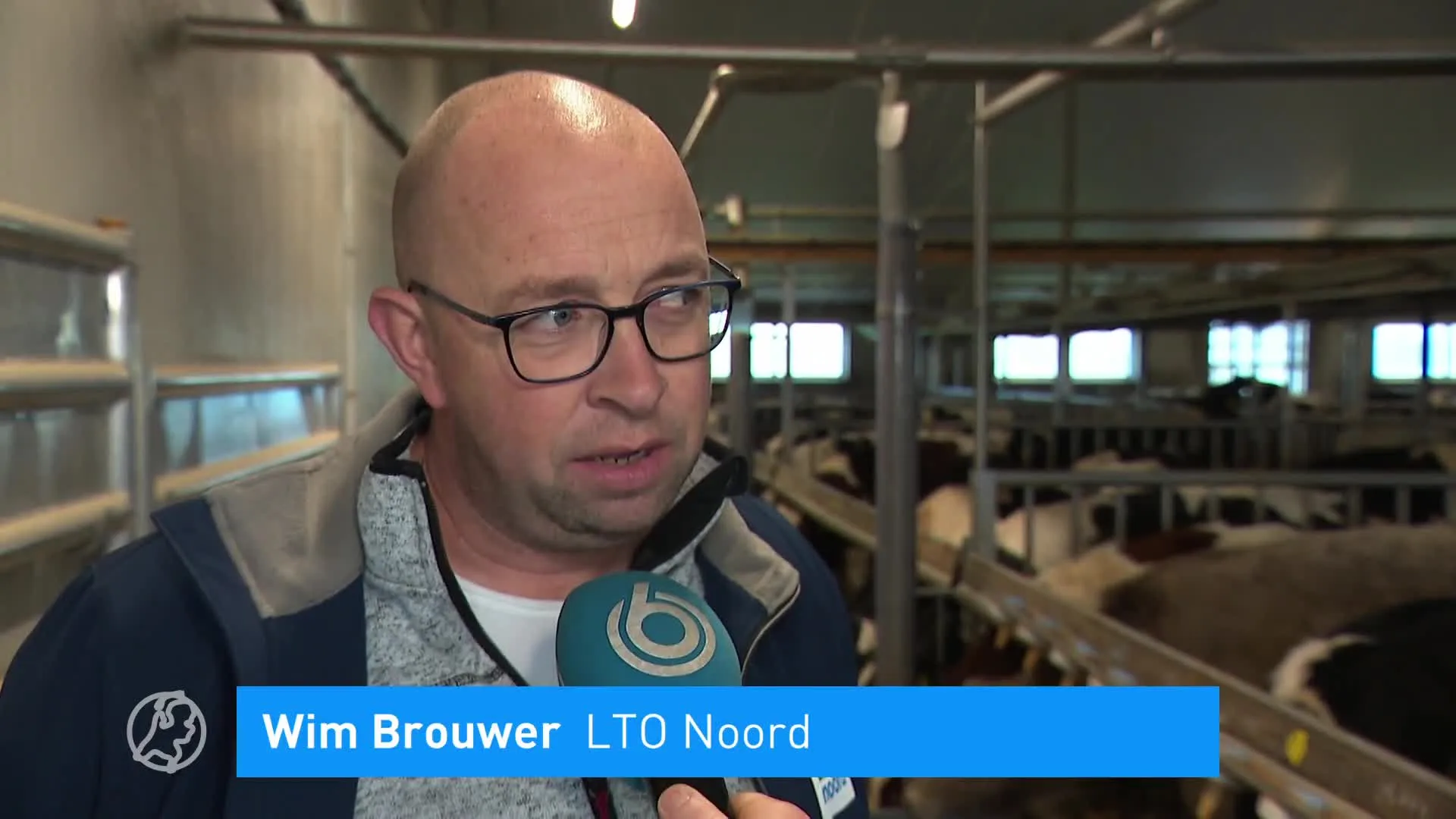 Veehouders kritisch op uitgelekt plan: 'We moeten het niet mooier maken dan het is'