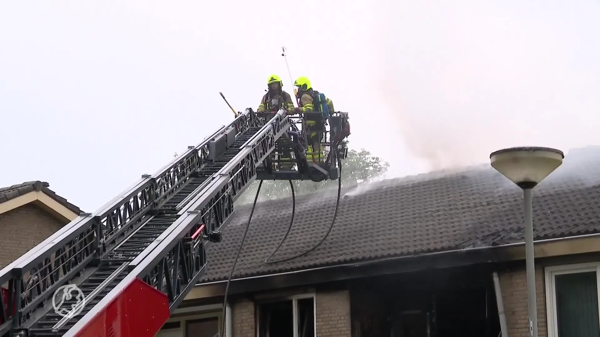 Man en twee hondjes dood na brand in appartementencomplex Buchten