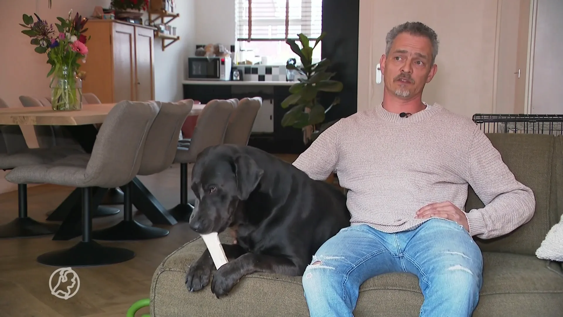 Slachtoffers opgelucht na inval bij fokker Tienhoven: 'Onze hond werd gelijk ziek toen we hem kregen'