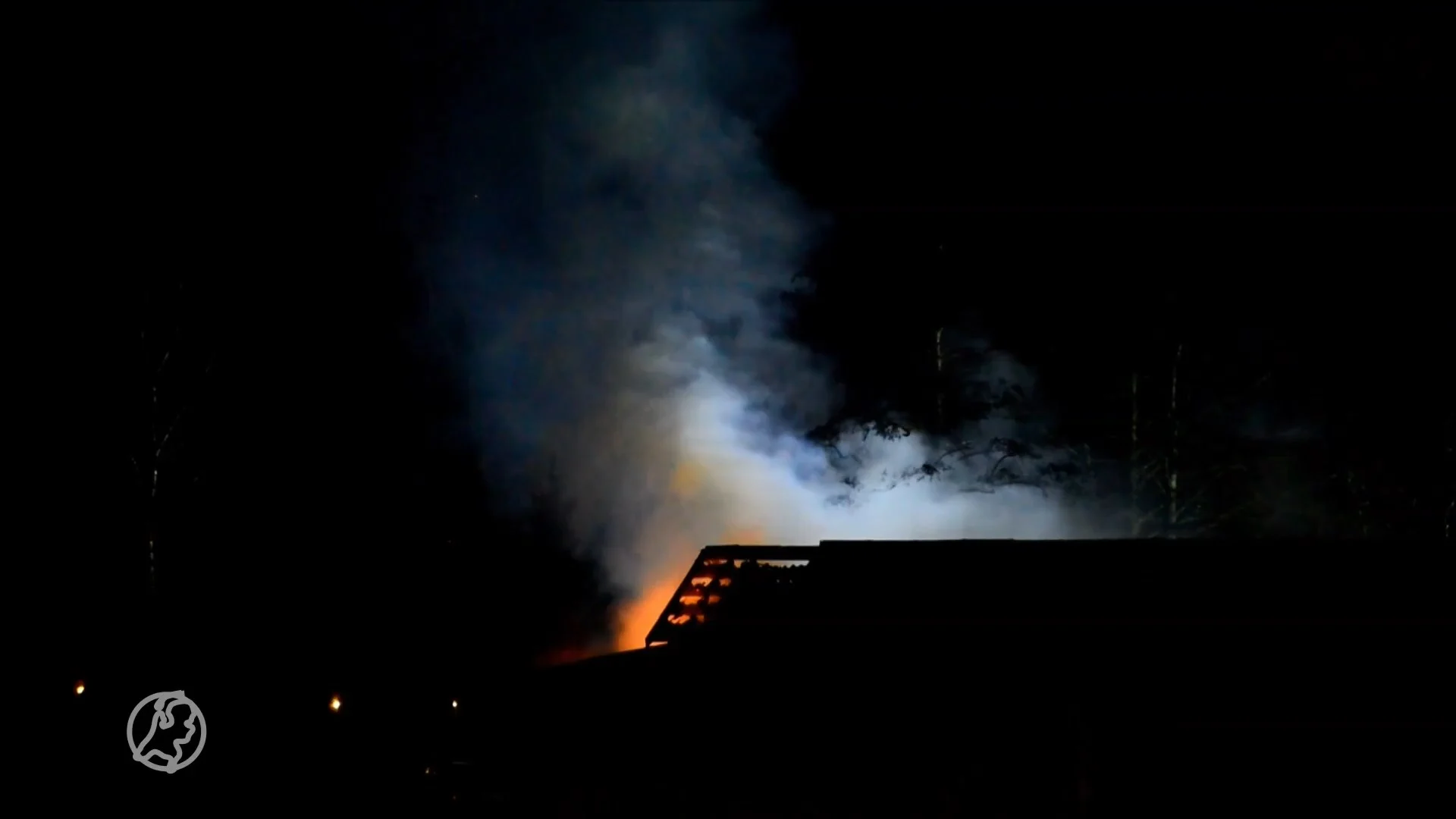 Veertien paarden komen om bij stalbrand in Koningslust