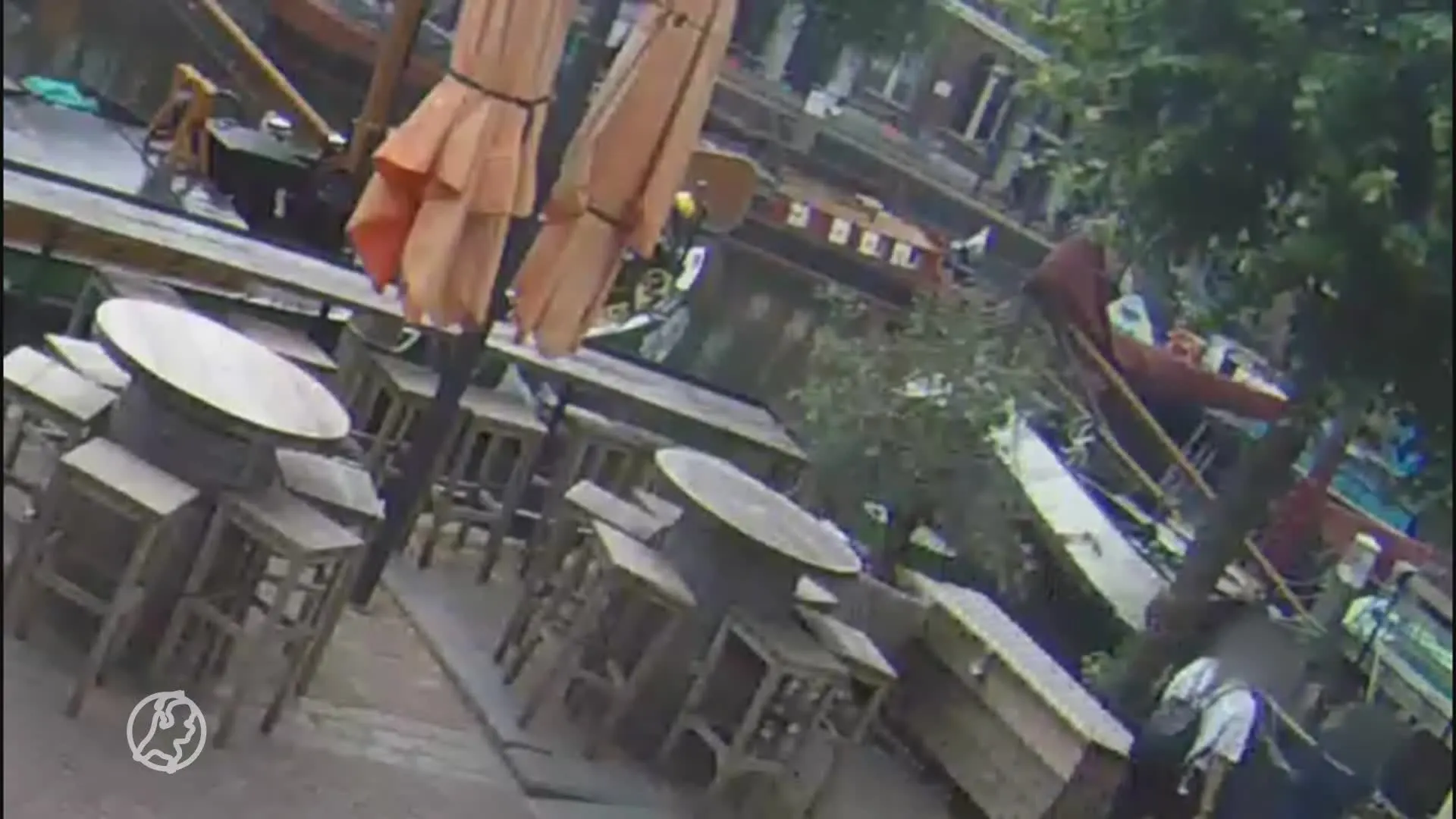 Kat Lex meegenomen in Rotterdam