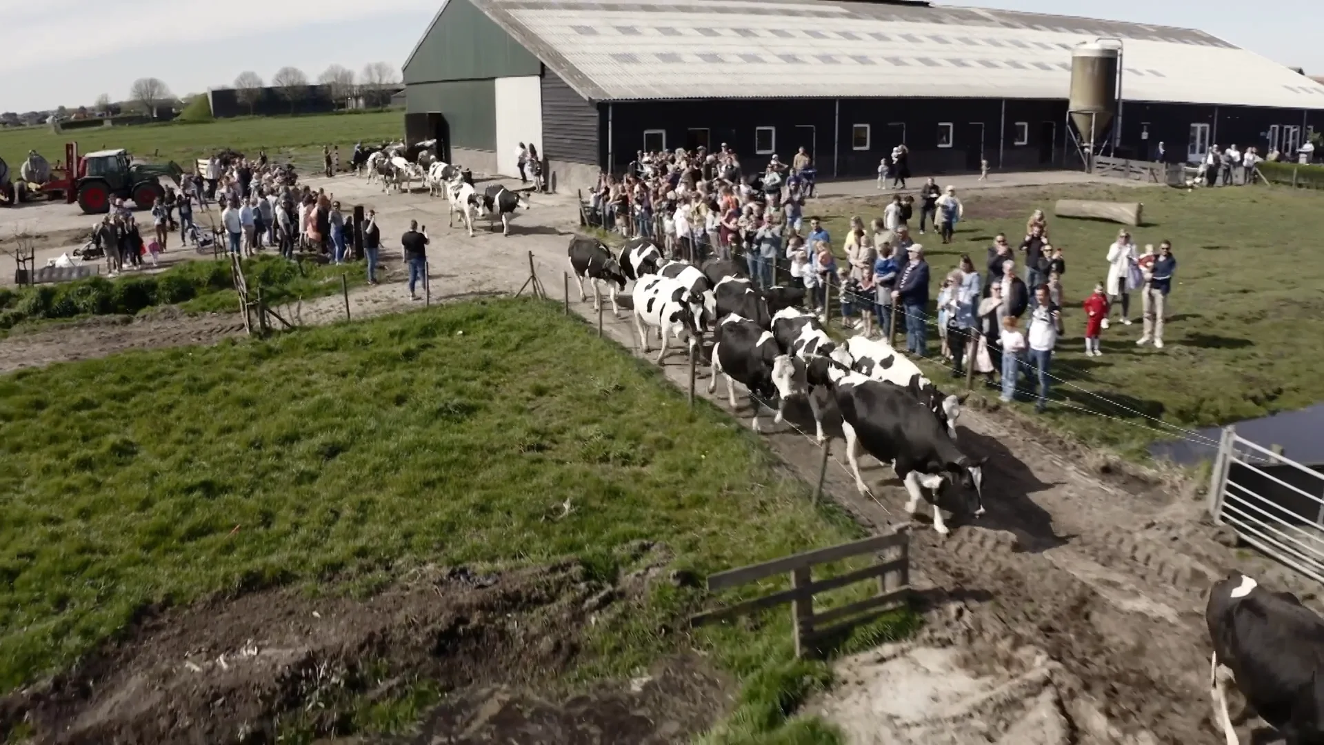 De KOEIEN op de zorgboerderij mogen EINDELIJK naar buiten