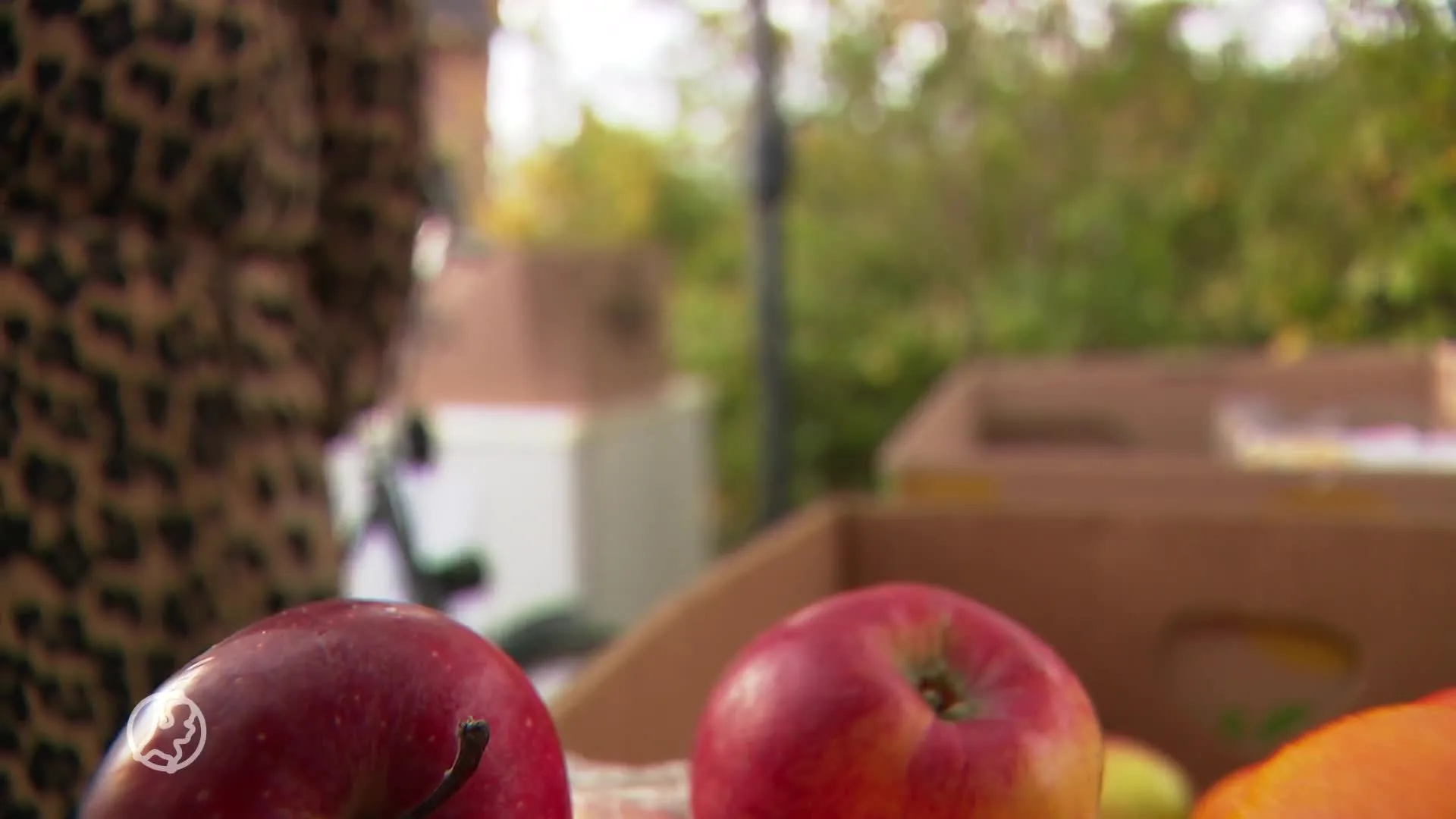 Financieel moeilijk? Bij deze mobiele supermarkt hoef je niet te betalen