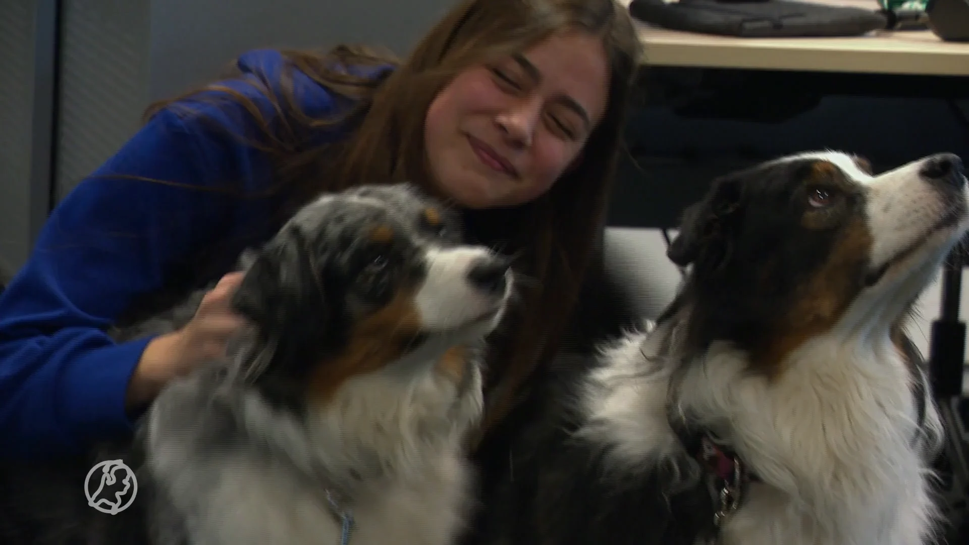 Hond mee op de werkvloer? Het heeft meer voordelen dan je denkt