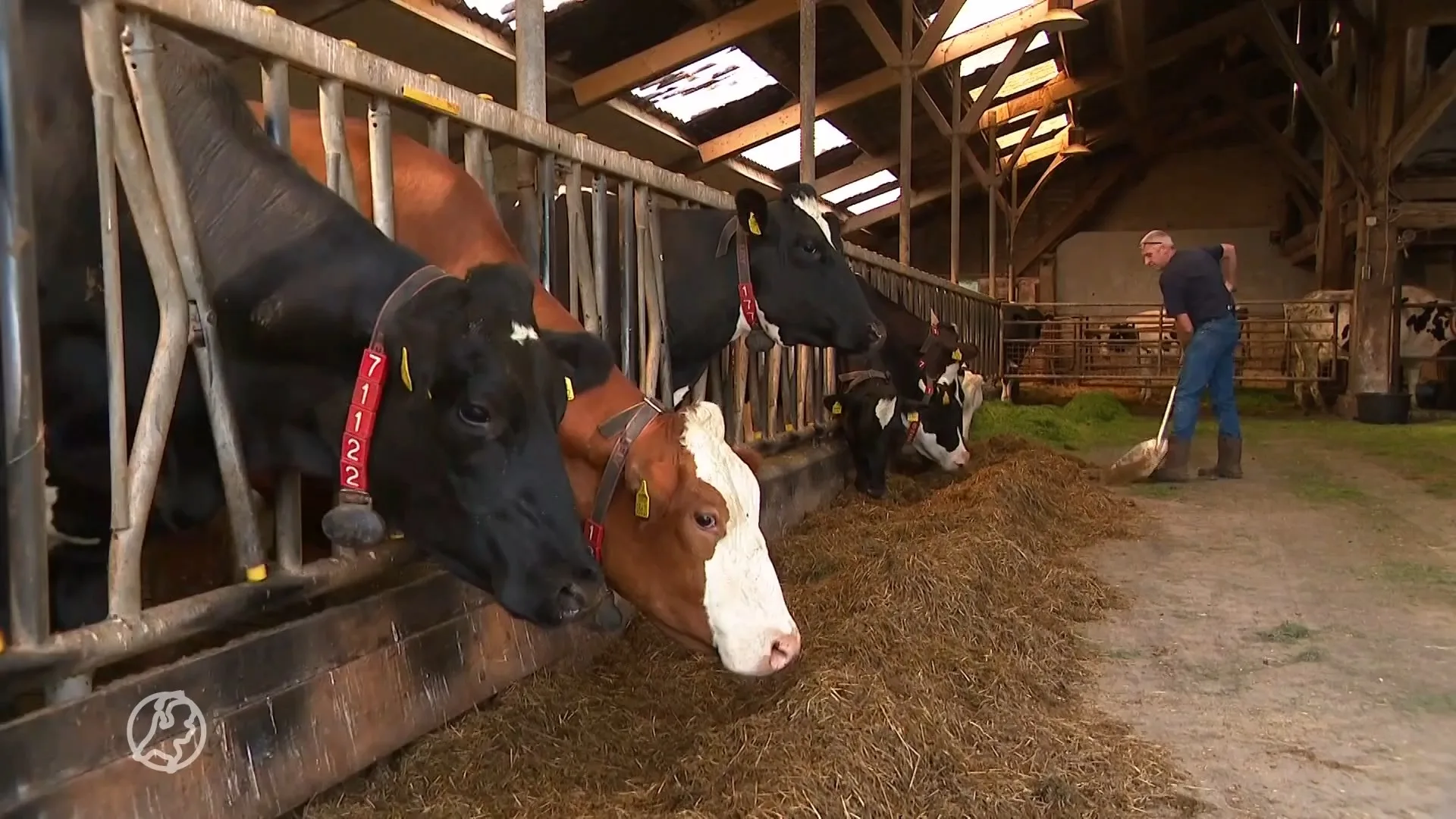 Boeren snappen niets van plannen voor onteigenen: 'We gaan ons verzetten'