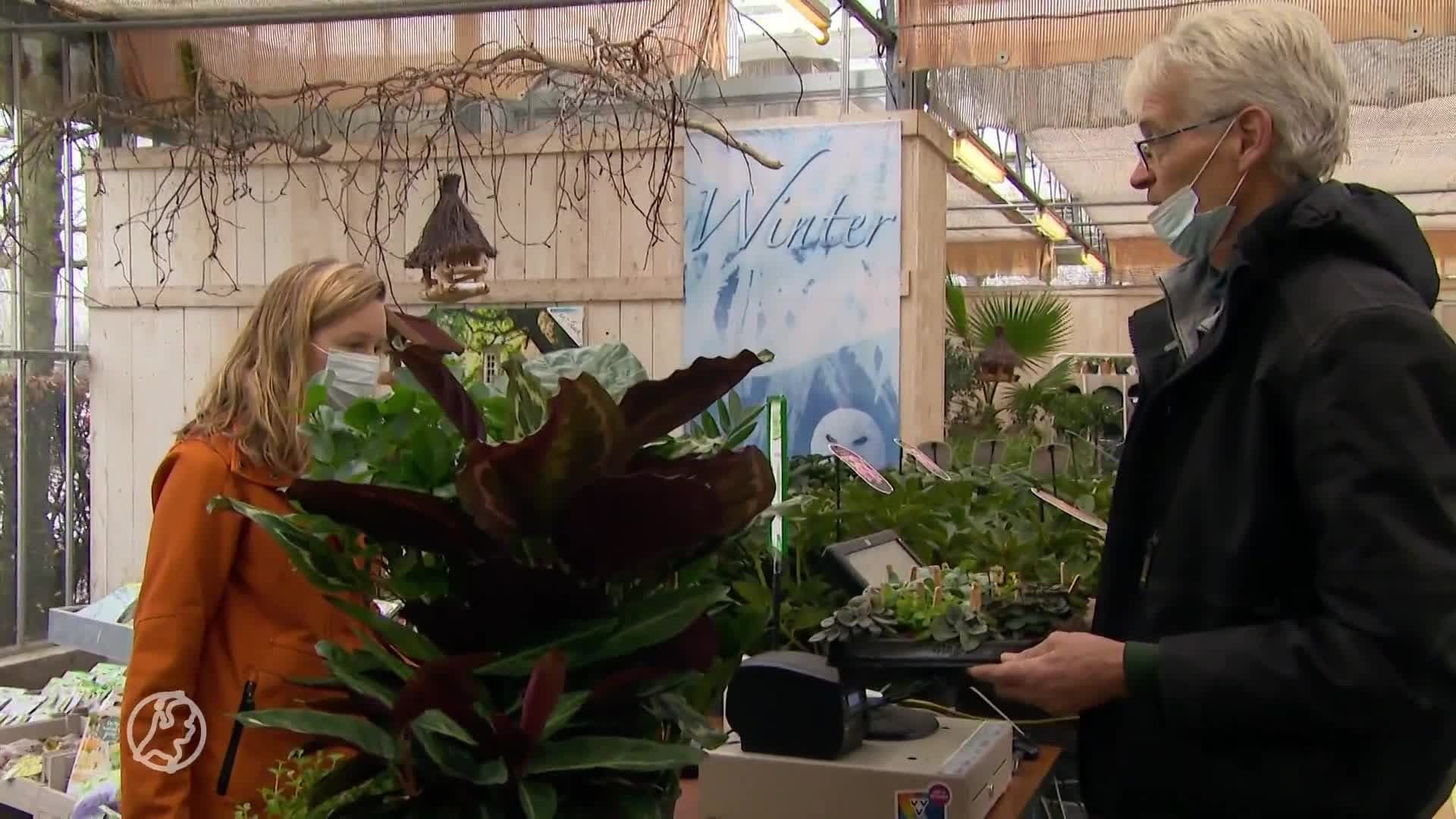 Gezocht: mensen om tijdens de lockdown op kamerplanten te passen