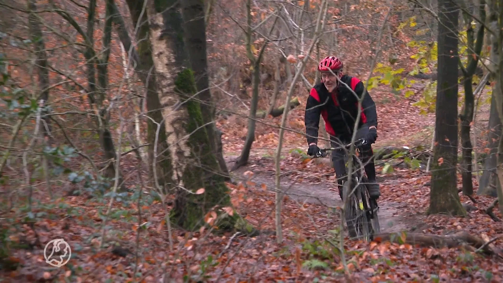 Bijzondere kever doet mountainbikeroute in Rijk van Nijmegen ...