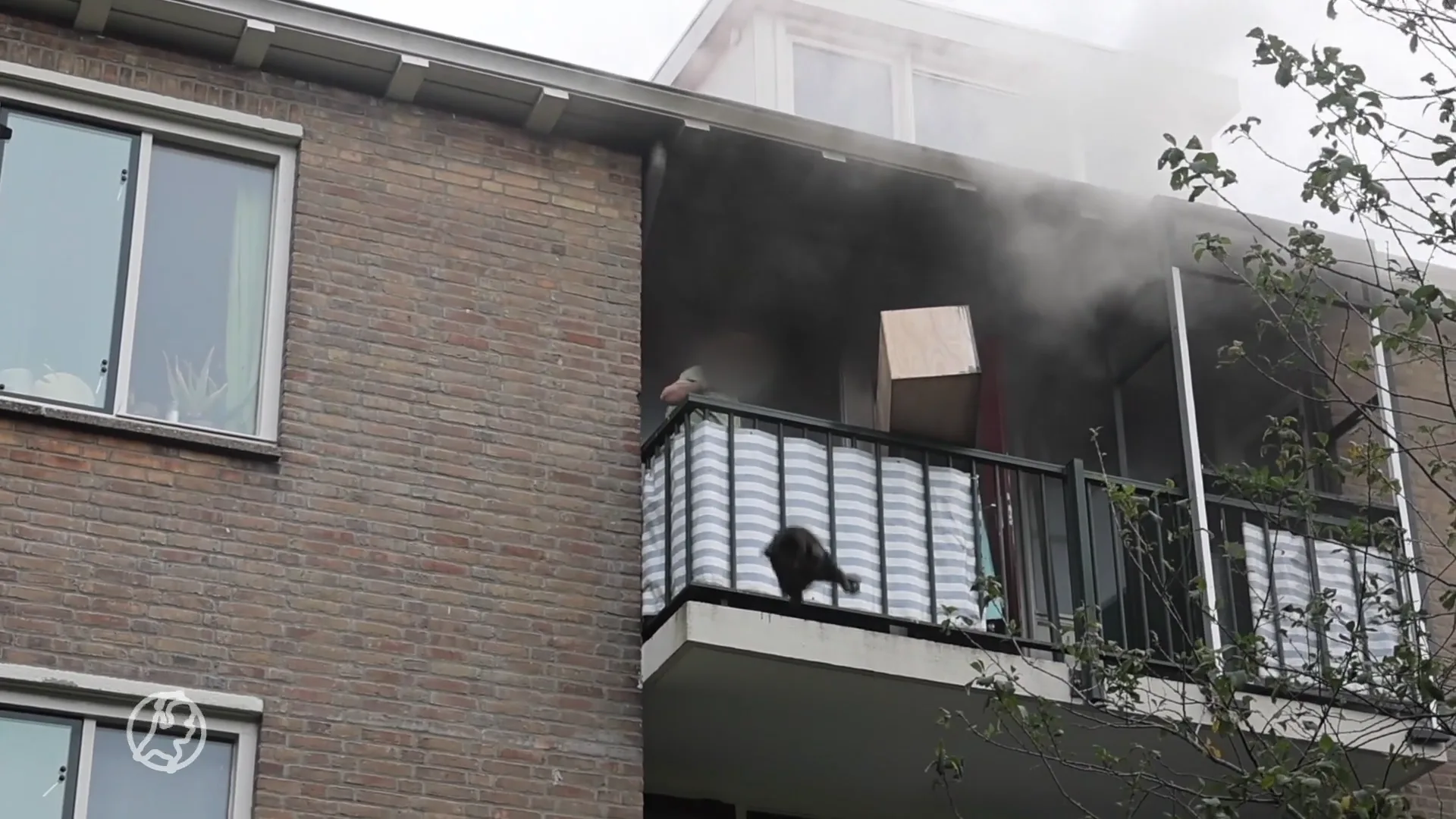 Man gooit kat van balkon bij woningbrand en slaat brandweerman