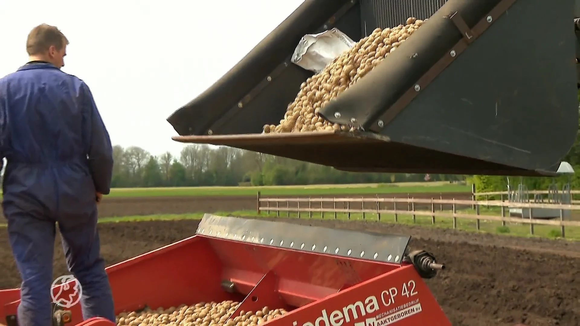 Boeren slaan alarm over de mogelijke stijgende prijzen van patat
