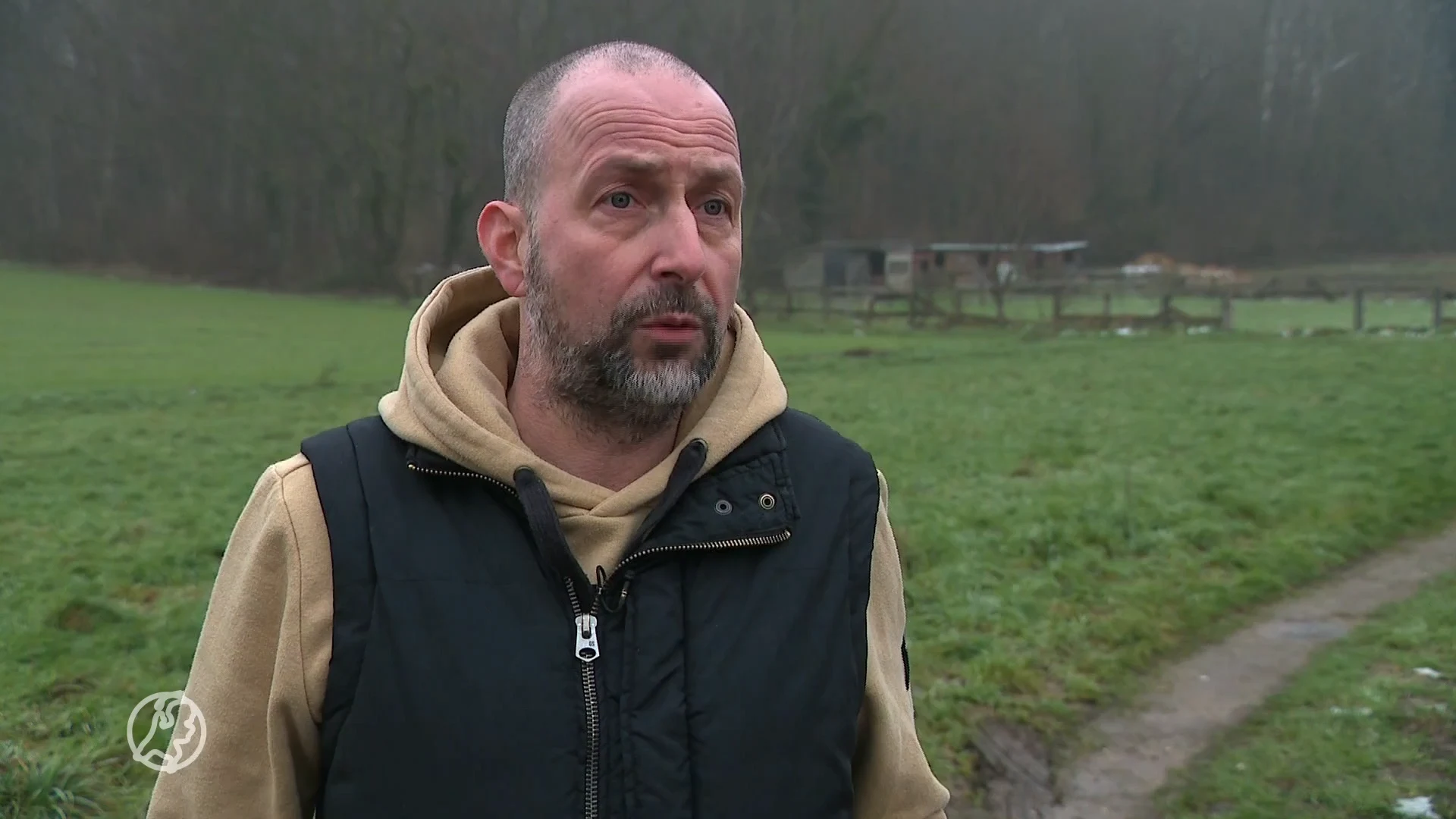 Remko stond oog in oog met wilde zwijn: diepe wonden tot op het bot