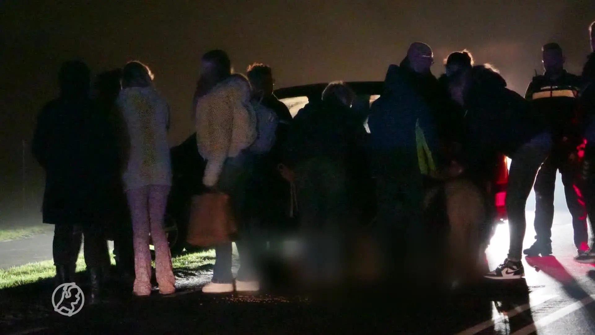 Twee shetlandpony's overleden na aanrijding met auto