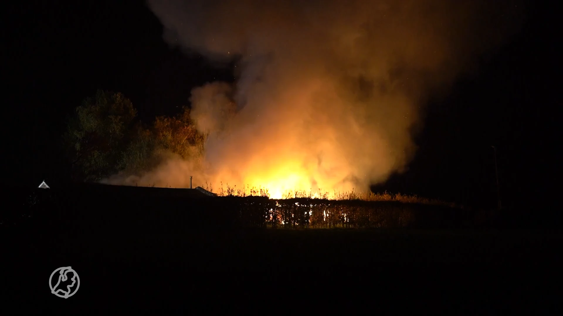 Paarden gered uit brandende stal die later drugslab blijkt