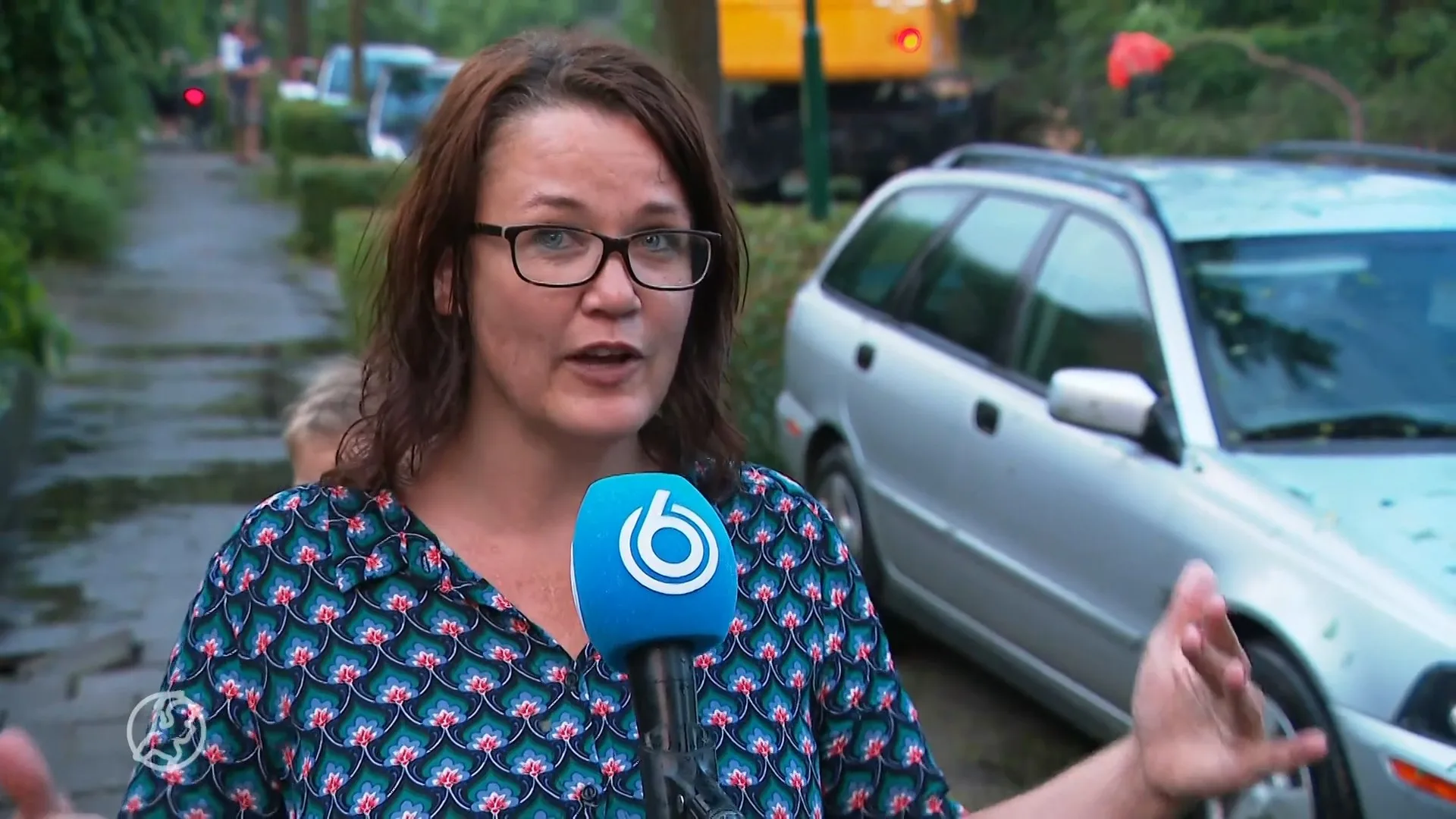 Vier gewonden door noodweer in Leersum