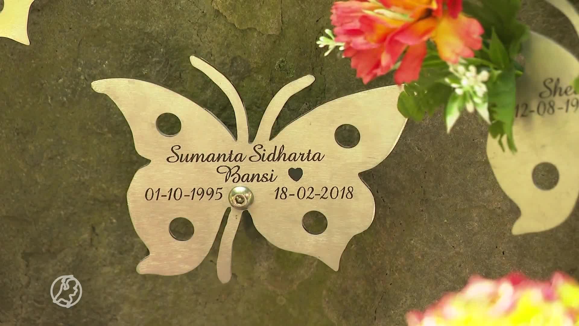 Laatste vlinder op vlinderrots: "Ze hoort hier helemaal niet te hangen"