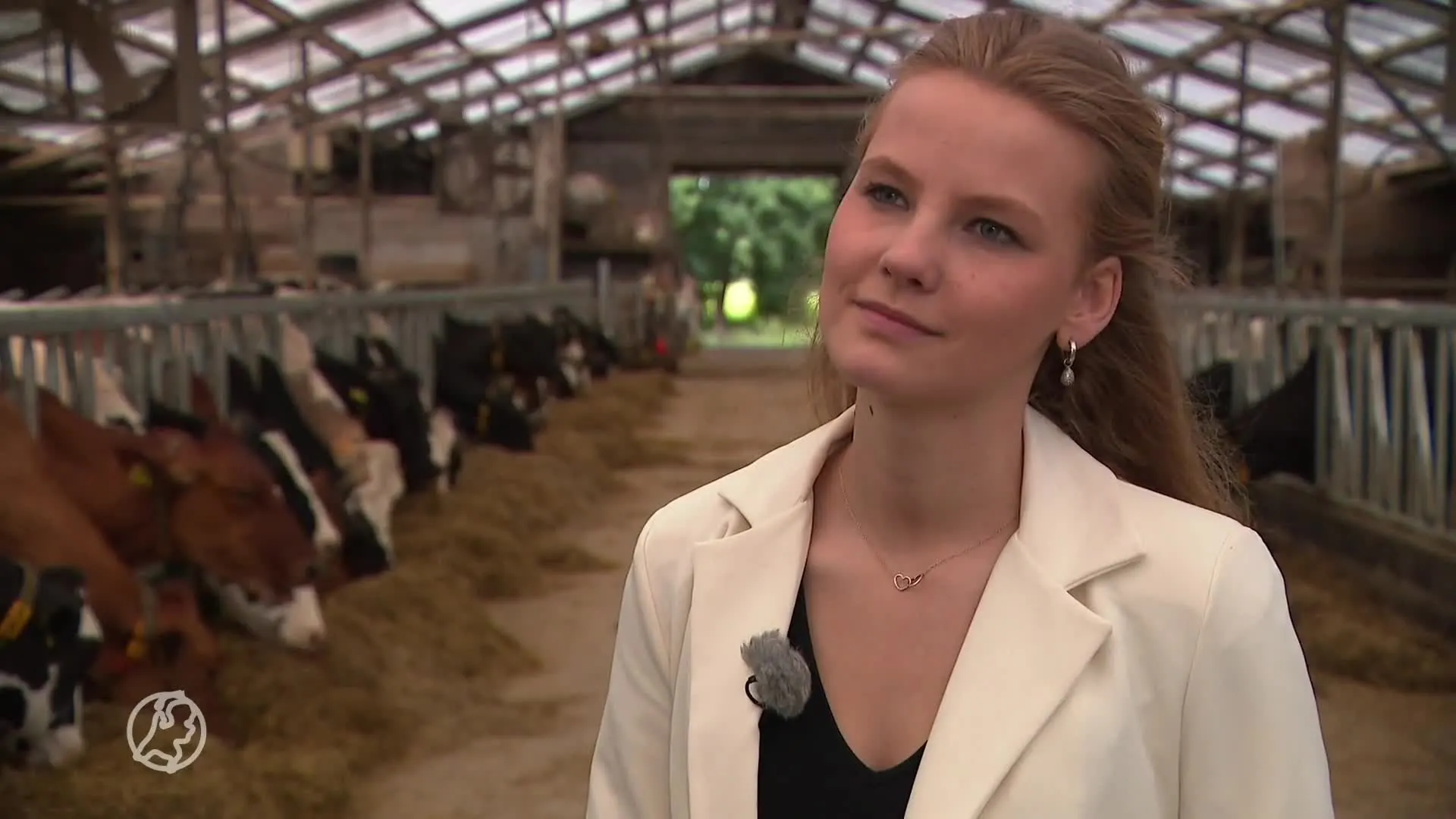 Kabinet grijpt in: stikstofuitstoot halveren, boeren blijven zonder perspectief