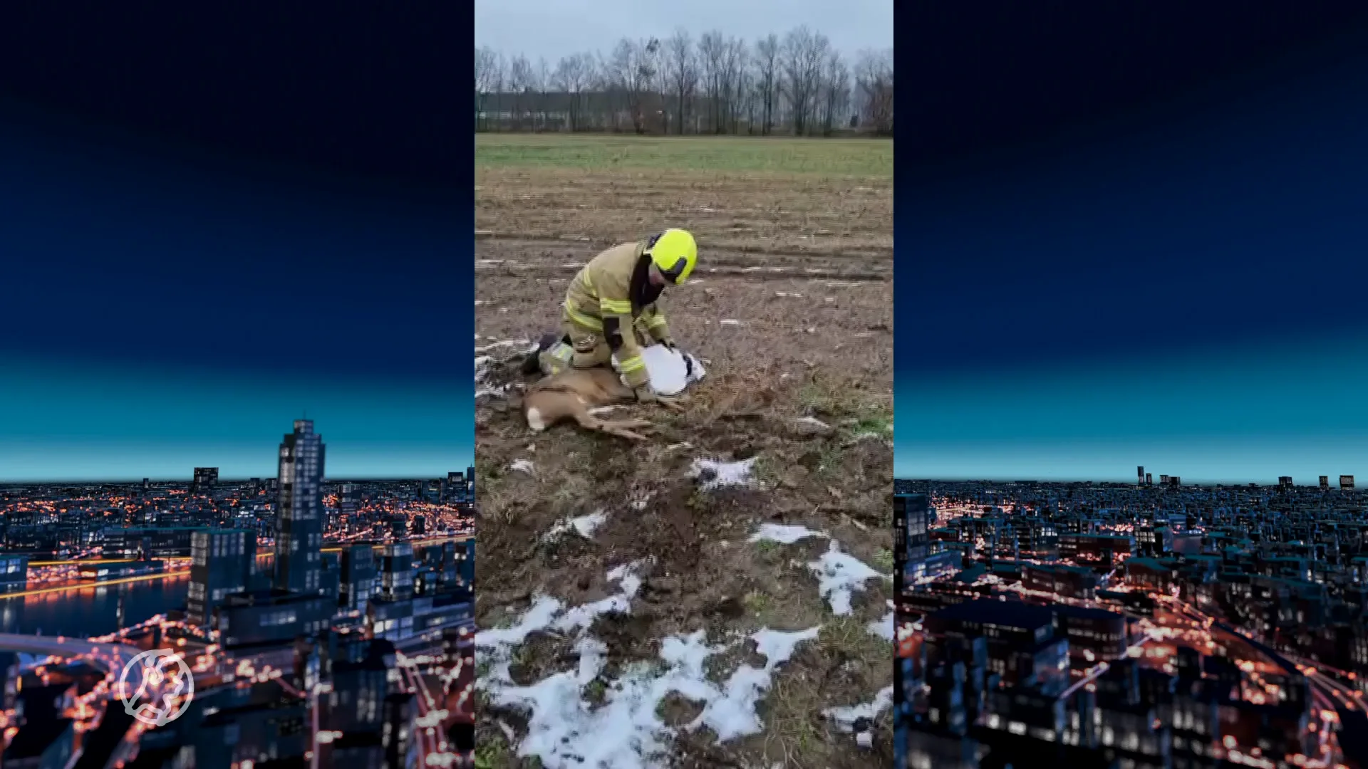 Brandweer bevrijdt gewonde ree uit hek in Schijndel