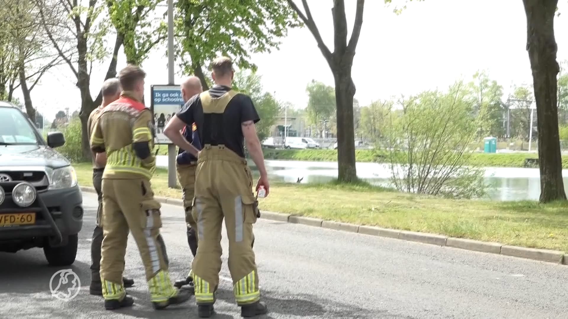 Dier in nood: brandweer Almelo probeert ree in veiligheid te brengen