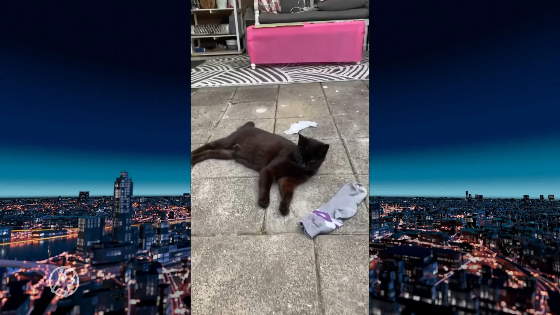 'Kleptokat' Lotje is op rooftocht en zet Assen op stelten