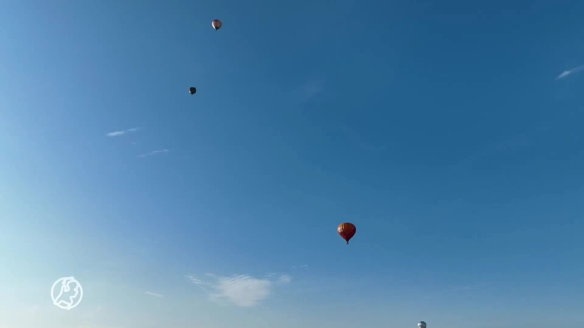 Zwerm ballonnen siert lucht in Joure