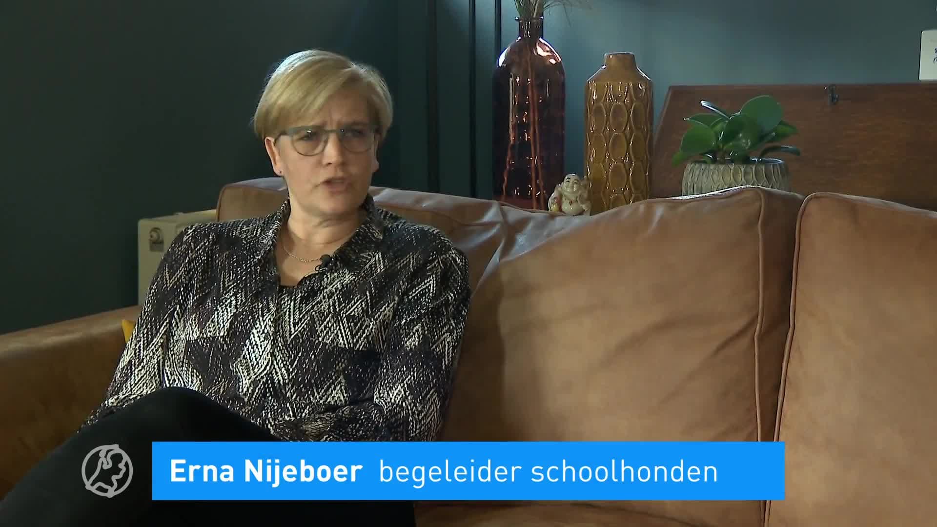 Schoolhonden in opmars, maar is de begeleiding wel goed genoeg?