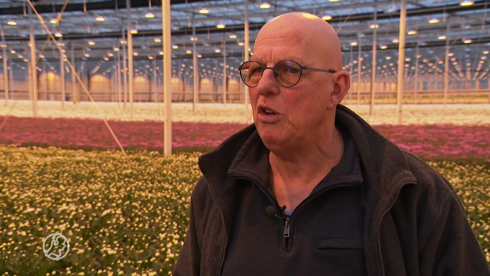 Grote zorgen onder Nederlanders die sterke banden hebben met Oekraïne: 'Het zijn spannende dagen'